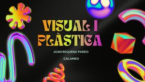Visual I Plàstica Presentación