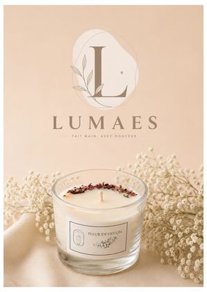 BOOK - LUMAES
