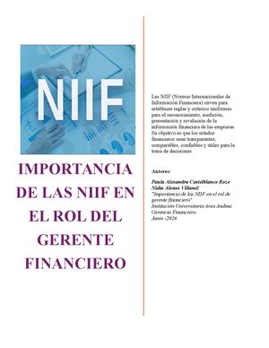 Importancia De Las Niif En El Rol Del Gerente Financiero