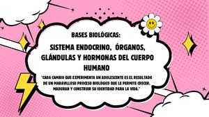 Sistema Endocrino Y ÓRganos, Glándulas Y Hormonas Del Cuerpo Humano