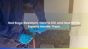 Bed Bugs: Resistant, Hard to Kill, and How NOVA Experts Handle Them