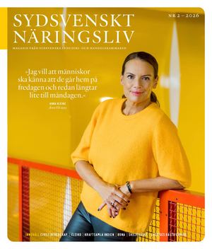 Sydsvenskt Näringslv Nr 2-2026