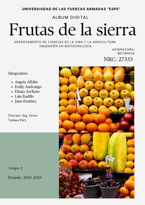 ALBUM DIGITAL - 27333 - GRUPO1