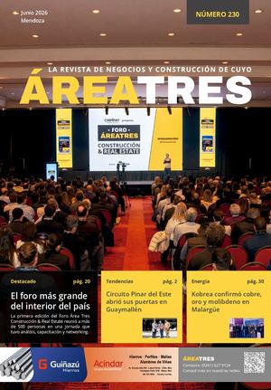 Área Tres Junio N 230