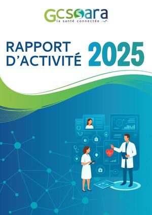 Rapport D'activité Gcs Sara 2025