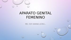 Aparato Genital Femenino