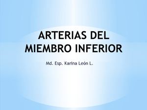 Arterias Del Miembro Inferior