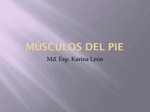 Músculos Del Pie
