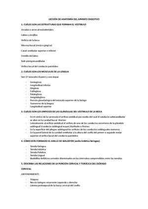 Leccion Digestivo 1