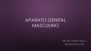 Aparato Genital Masculino