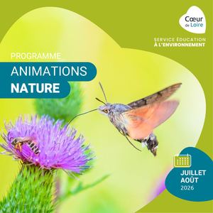 Programme animations été 2026