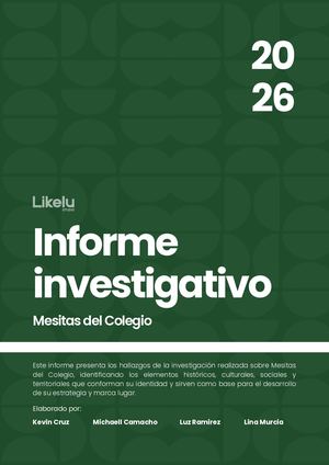 Informe Investigativo