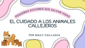 El Cuidado A Los Animales Callejeros 20260615 183006 0000