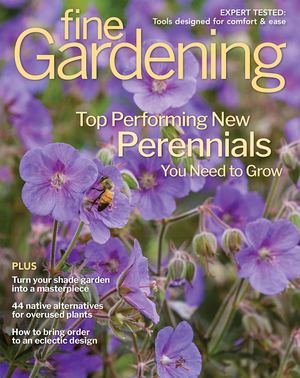 Fine Gardening #228 - Preview