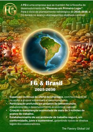 Manual Do Colaborador Da Fg