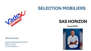 Sas Horizon Selection Mobiliers