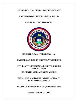 Segura Fernanda Uso Masivo De Información En Plataformas De Ia