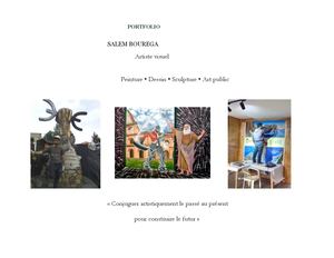Salem Bourega Portfolio