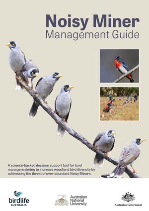 Noisy Miner Management Guide