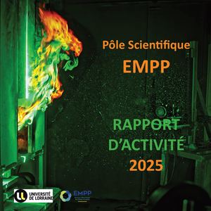 Rapport d'Activité EMPP 2025