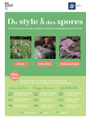 Du style et des spores 2025