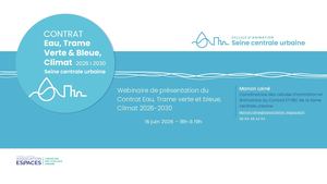 Support Webinaire