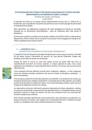 Synthèse Globale Des éTudes