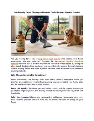Eco Friendly Carpet Cleaning A Healthier Choice For Your Home In Pretoria