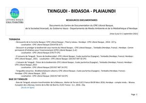 Txingudi - Plaiaundi - Bidasoa
