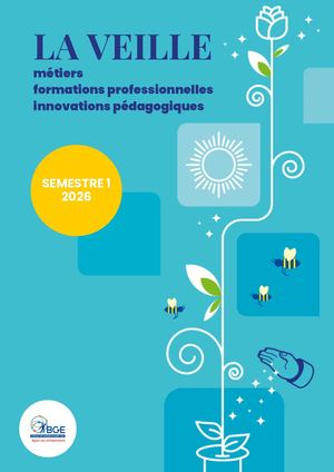 Veille Bge (1)