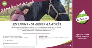 CHEQUE TON VDS LES SAPINS