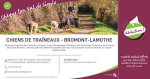 CHEQUE TON VDS CHIENS DE TRAINEAUX