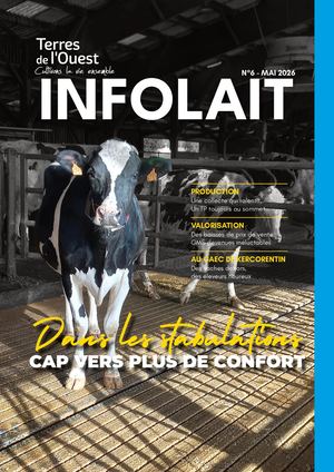Infolait N°6 Vdigitale