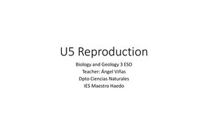5 Reproduction Function