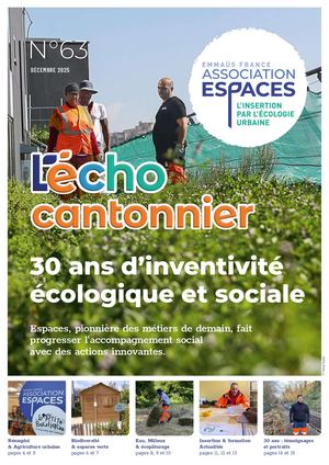 Echo Cantonnier 63 Compressed