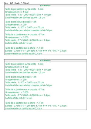 Calculer La Taille Réelle Correction