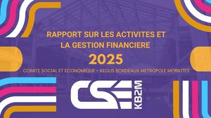 RAPPORT D'ACTIVITE CSE KB2M 2025