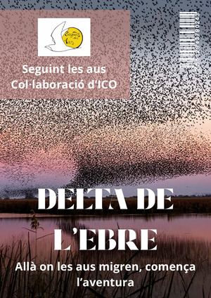 Viatge al Delta de l'Ebre