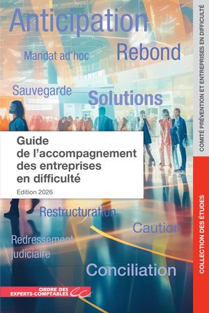 Csoec Guide Accompagnement Des Entreprises En Difficulté 2026 06