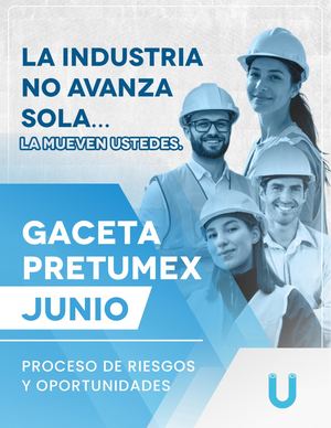 Gaceta Proceso De Riesgos Y Oportunidades