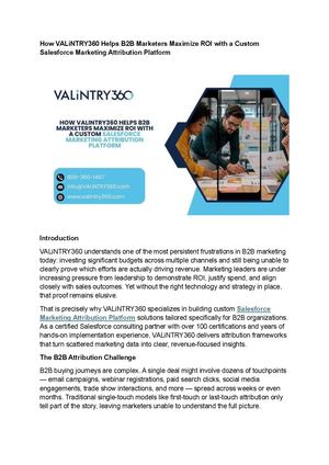 Salesforce Marketing Attribution Platform