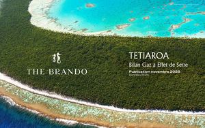 The Brando GES Rapport Français 2024