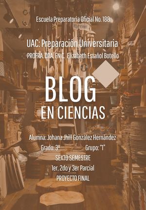 Blog, Johana