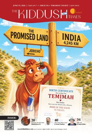 The Kiddush Times Issue 16