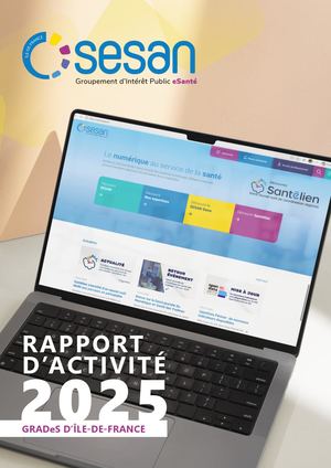 Rapport Activité 2025 Gip Sesan