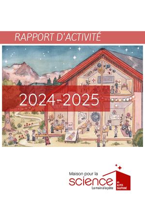 Rapport D'activité Mpls 2024 2025