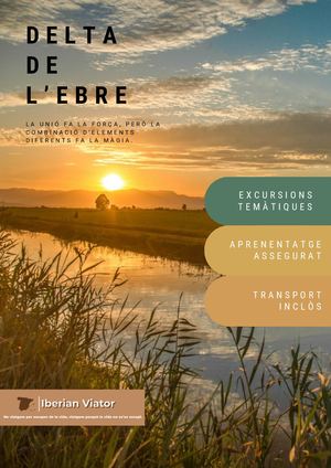 Delta De L’ebre