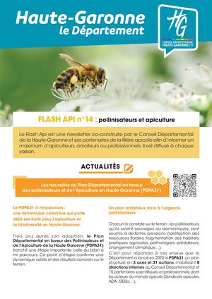 Flash api n°14