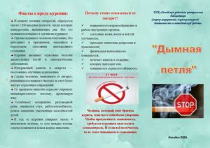 Дымная петля