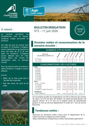 Bulletin irrigation été 2026 n°3